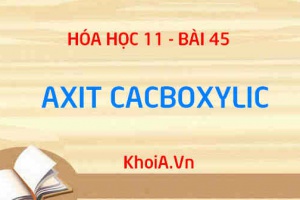 Axit Cacboxylic: Tính chất vật lý, tính chất hóa học của Axit cacboxylic, Điều chế và ứng dụng - Hóa 11 bài 45